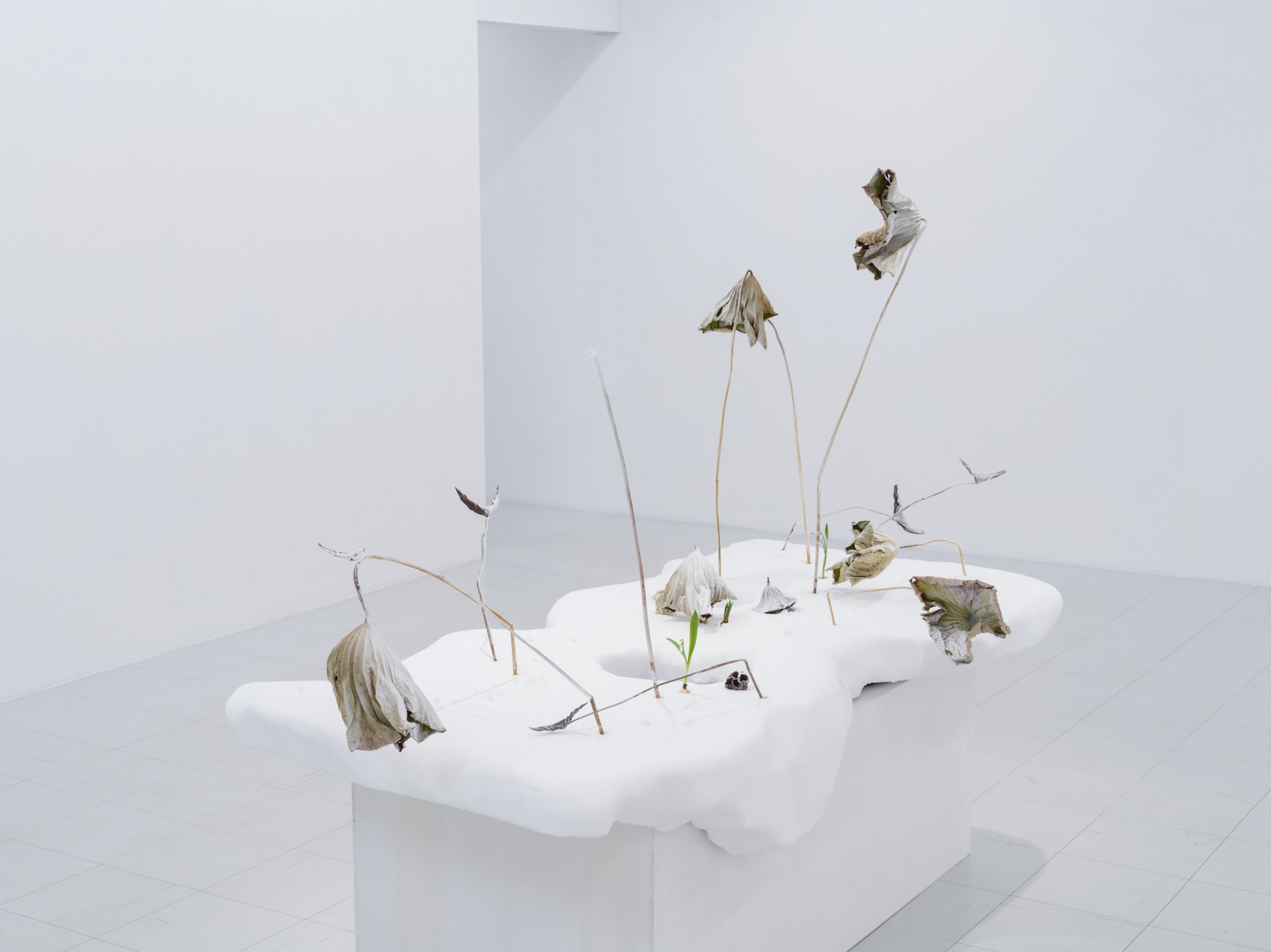 花をアートへ | EXHIBITIONS | 東京画廊 + BTAP TOKYO GALLERY +