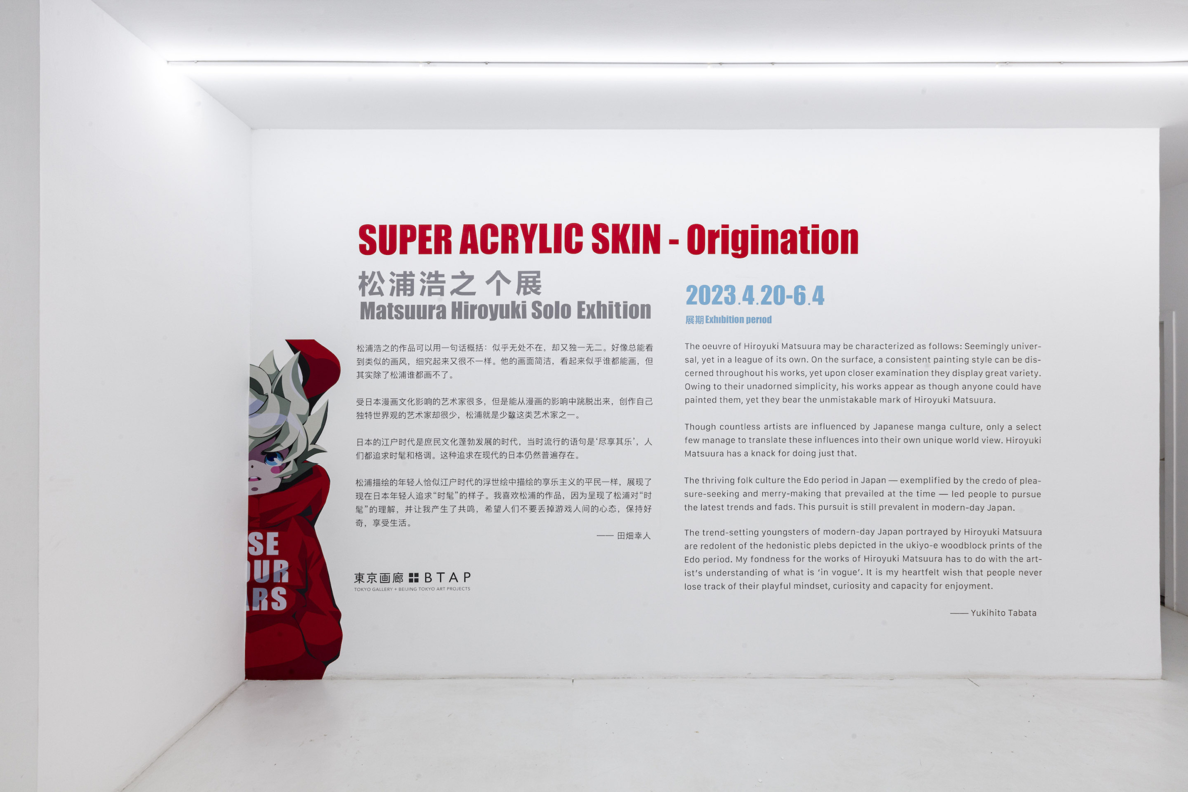 SUPER ACRYLIC SKIN - Origination | EXHIBITIONS | 東京画廊 + BTAP